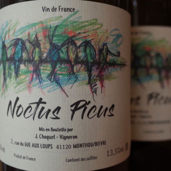 <b>Jérémie Choquet</b>|noctus picus|wit