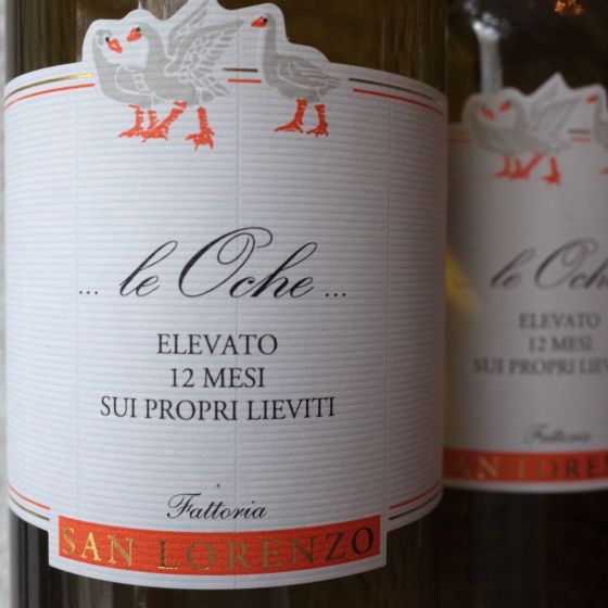 <b>Fattoria San Lorenzo, Natalino Grognaletti</b>|le oche mgn|wit