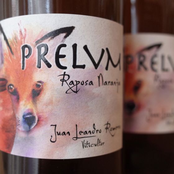 <b>Prelvm, Juan Leandro Romero</b>|raposa naranja|oranje