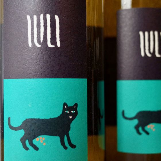 <b>Fattoria Iuli, Fabrizio Iuli</b>|barat|wit