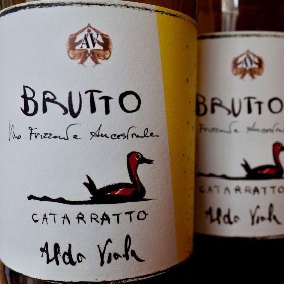 <b>Aldo Viola</b>|brutto|mouss