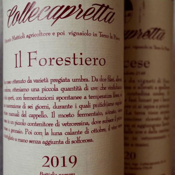 <b>Collecapretta, Annalisa Mattioli</b>|il forestiero|rood