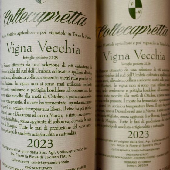 <b>Collecapretta, Annalisa Mattioli</b>|vigna vecchia|oranje