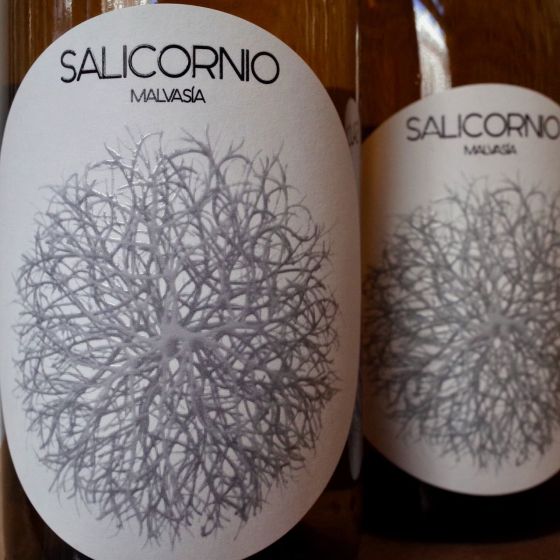 <b>Casa Balaguer, Andres Carull</b>|malvasia salicornio|oranje