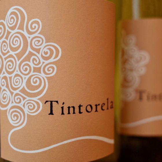 <b>Domaine Ribiera, Christine et Régis Pichon</b>|blanc tintorela|wit