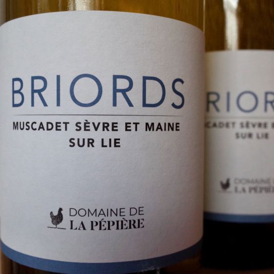 <b>Domaine de la Pépière, Rémi Brangér et Gwénaëlle Croix</b>|clos des briords|wit