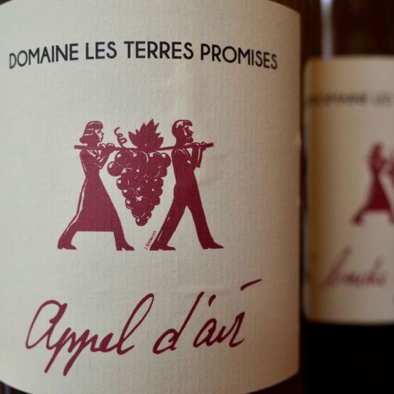 <b>Les Terres Promises, Jean-Christophe Comor</b>|appel d'air|wit