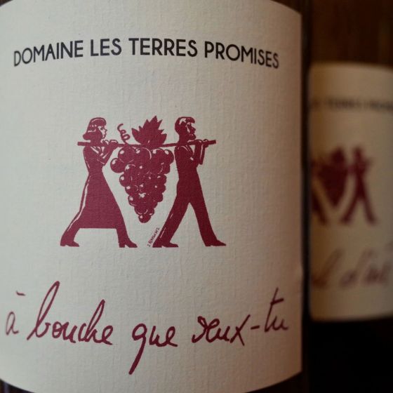 <b>Les Terres Promises, Jean-Christophe Comor</b>|a bouche que veux tu|wit
