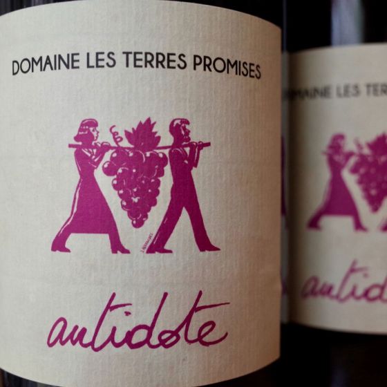 <b>Les Terres Promises, Jean-Christophe Comor</b>|l'antidote|rood