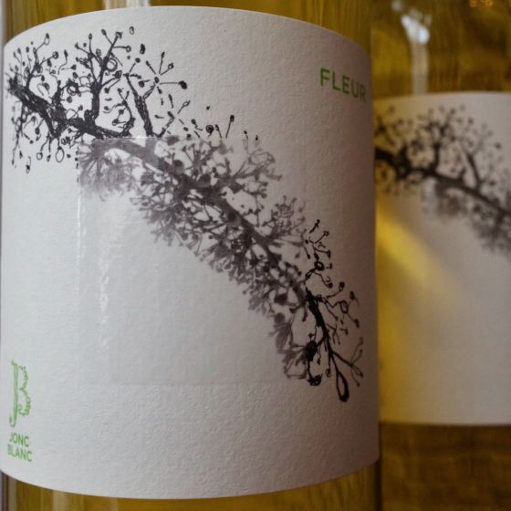 <b>Le Jonc-Blanc, Franck Pascal et Isabel Carles</b>|fleur|wit