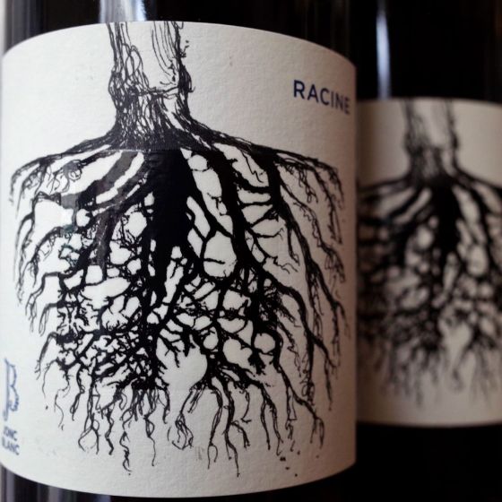 <b>Le Jonc-Blanc, Franck Pascal et Isabel Carles</b>|racine|rood