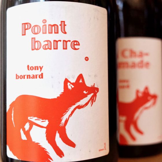 <b>Tony Bornard</b>|point barre|rood