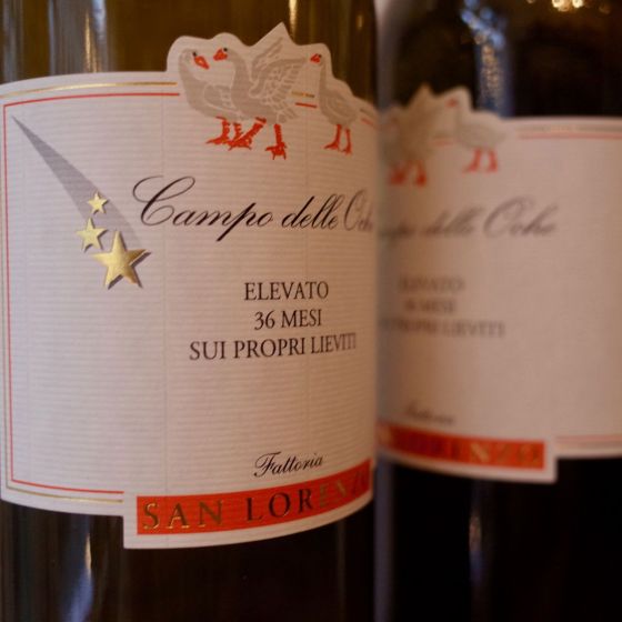 <b>Fattoria San Lorenzo, Natalino Grognaletti</b>|campo delle oche|wit