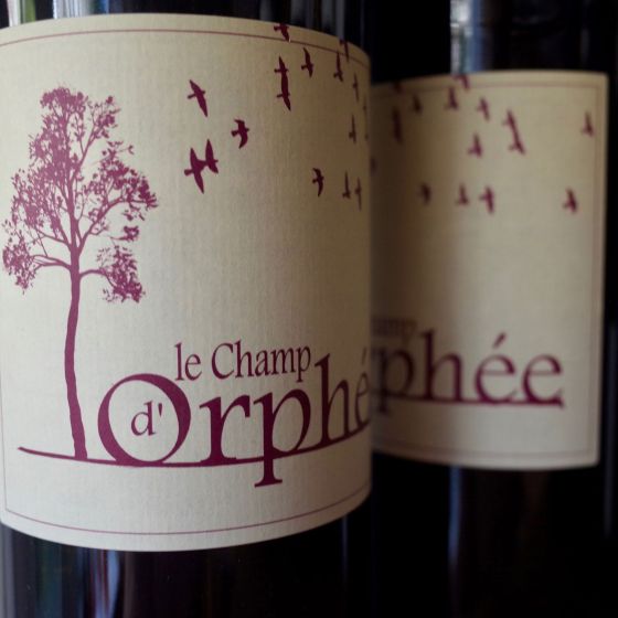 <b>Stéphane Lucas</b>|le champ d'orphée|rood