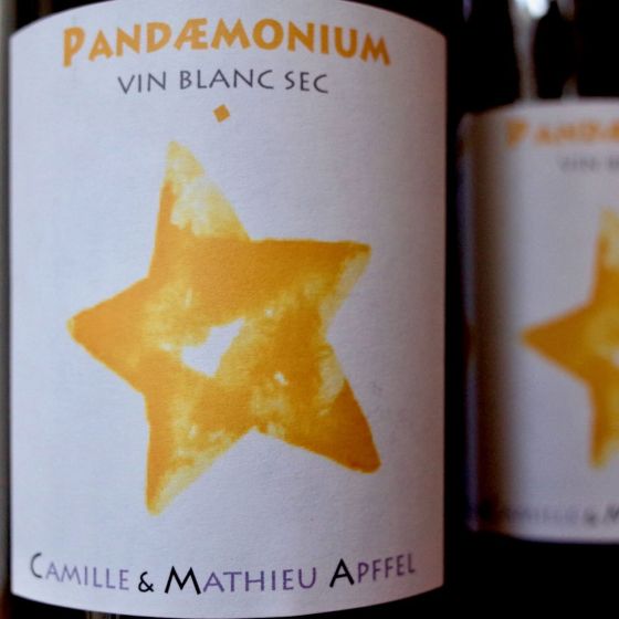 <b>Mathieu et Camille Apffel</b>|pandaemonium|wit