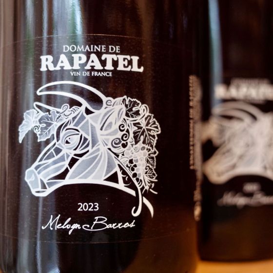 <b>Domaine de Rapatel, Gérard Eyraud</b>|l'inattendu|rood