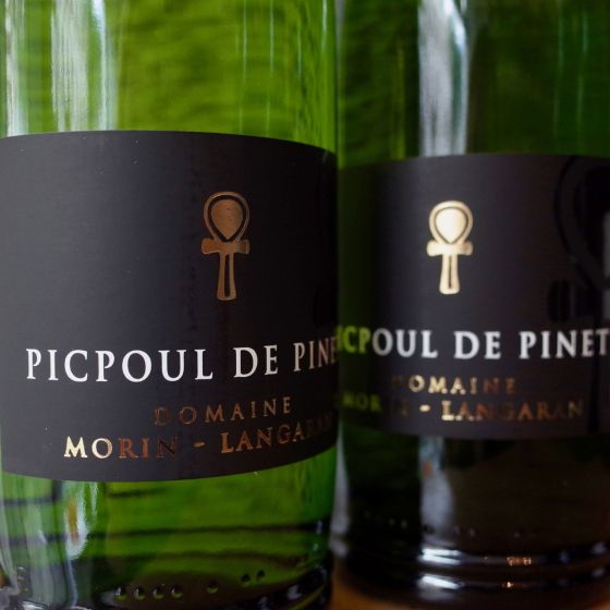 <b>Domaine Morin-Langaran</b>|picpoul de pinet|wit