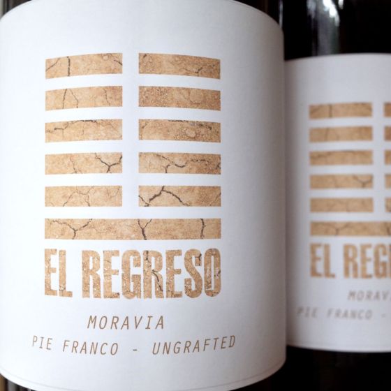 <b>el regreso</b>|moravia|rood