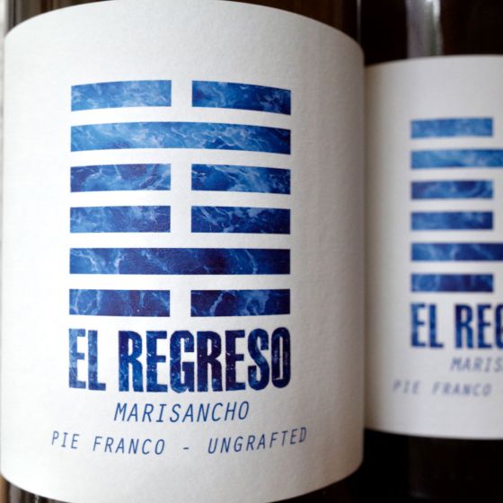<b>el regreso</b>|marisancho|wit