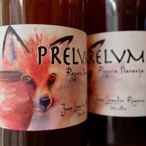 <b>Prelvm, Juan Leandro Romero</b>|raposa naranja bib 5 liter|oranje