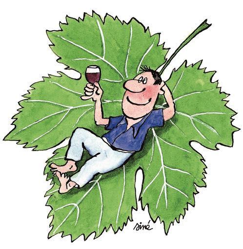 <b>Château Cambon, Marie Lapierre et Alexandre Iwasuila</b>|beaujolais nouveau|rood