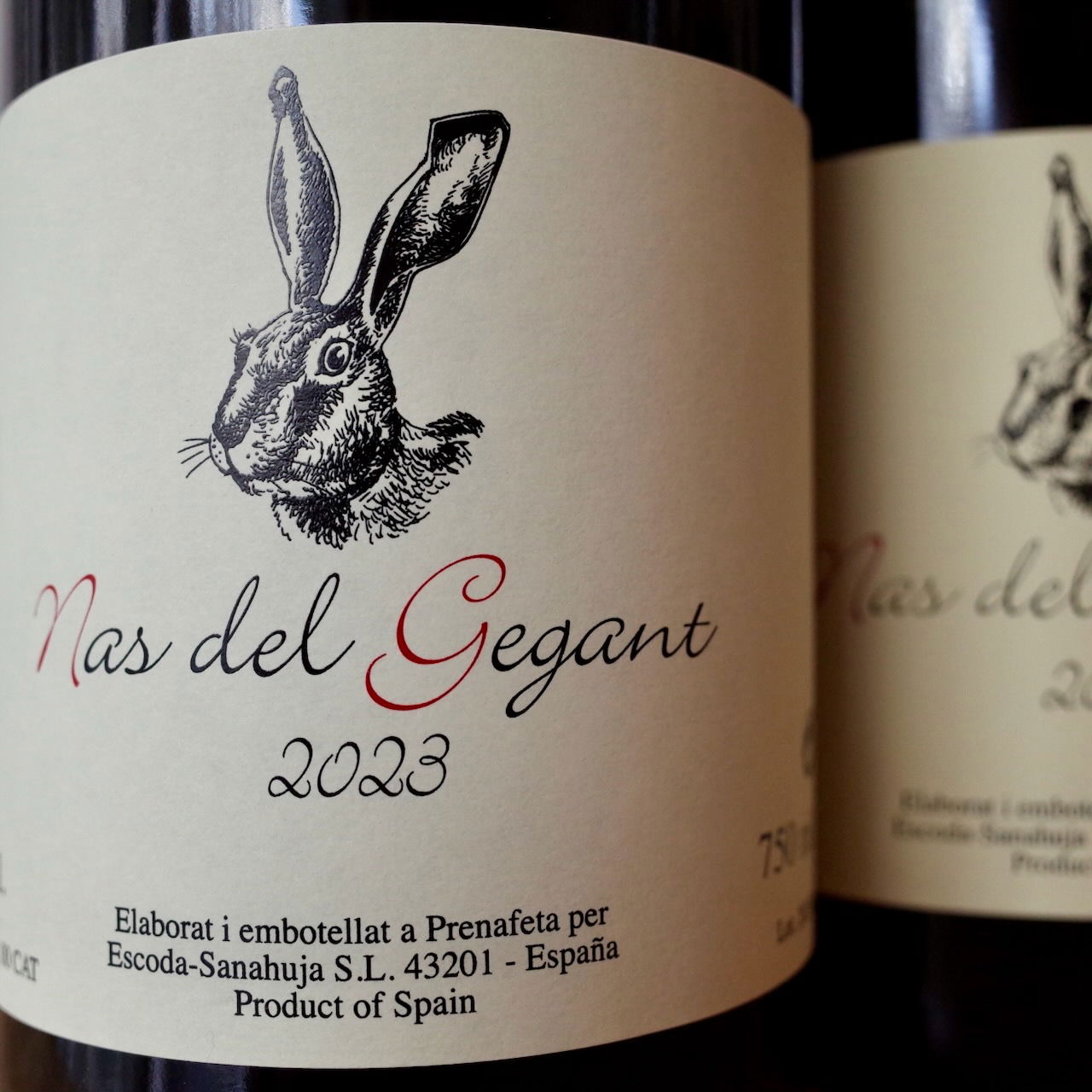 <b>Escoda Sanahuja, Juan Ramón Escoda</b>|nas del gegant|rood