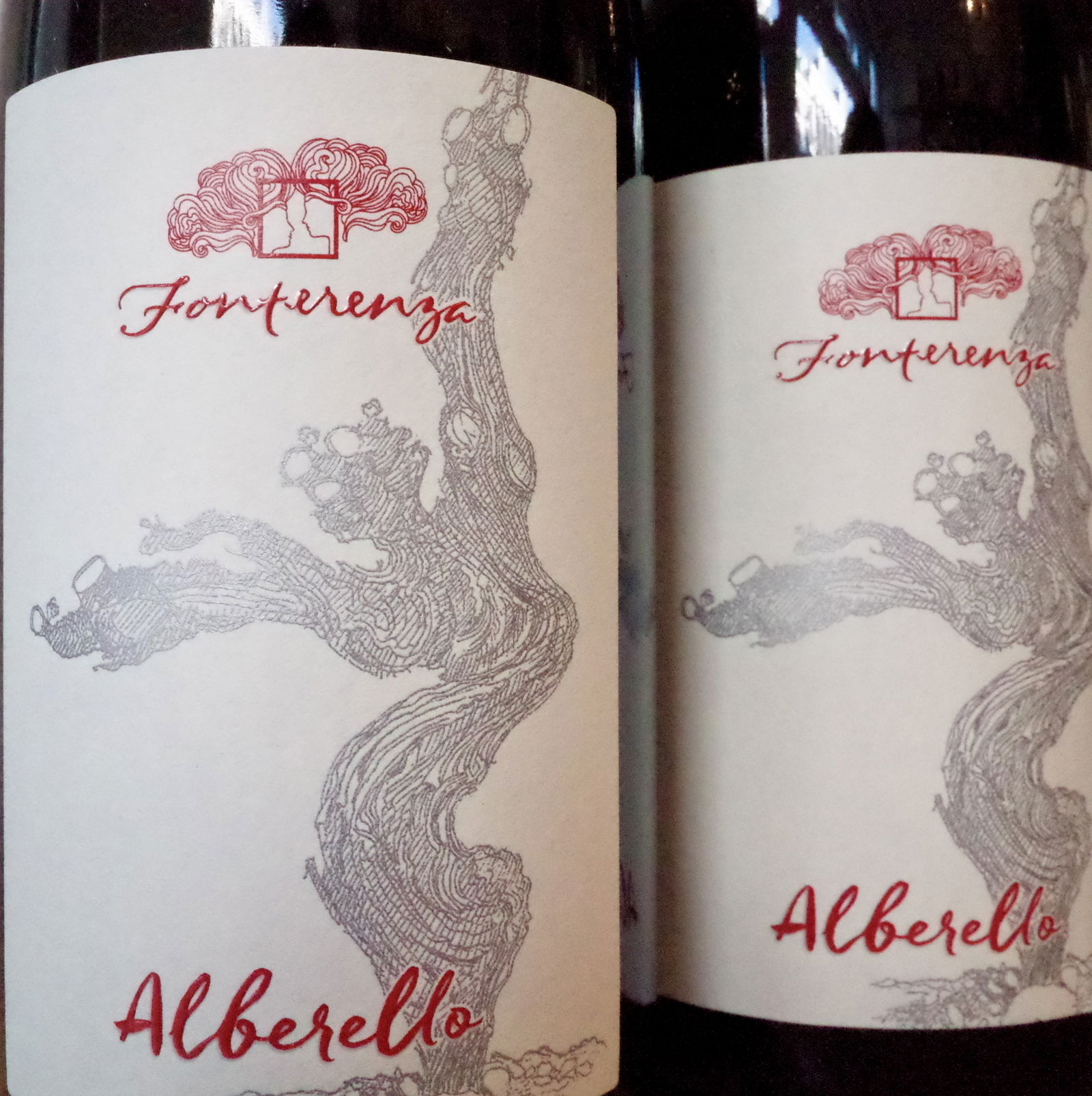 <b>Fattoria Fonterenza, Francesca e Margherita Padovani</b>|alberello|rood