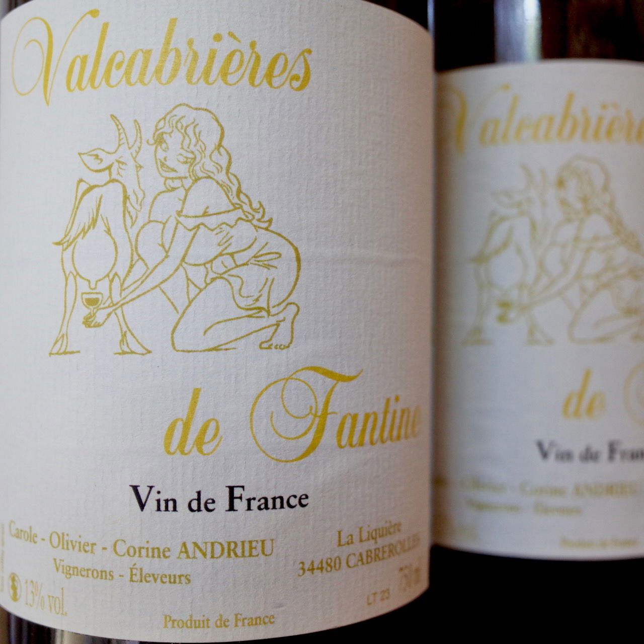 <b>Clos Fantine, Carole, Corine et Olivier Andrieu</b>|valcabrières de fantine|wit