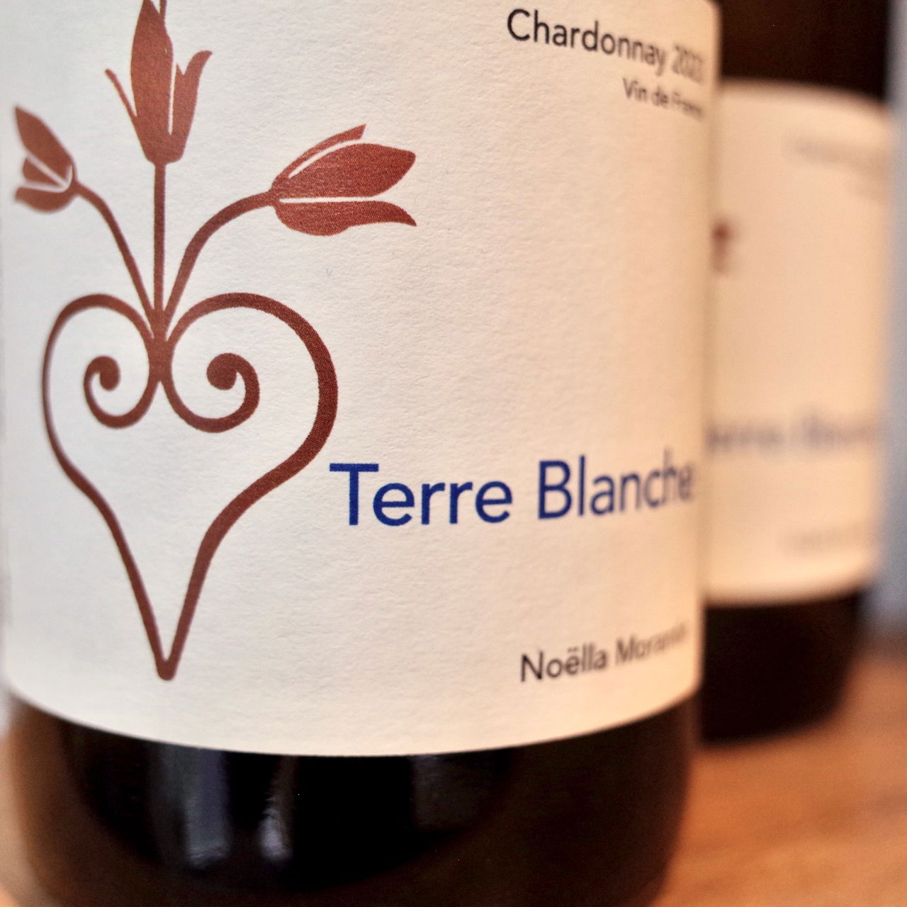 <b>Noëlla Morantin</b>|terre blanche|wit