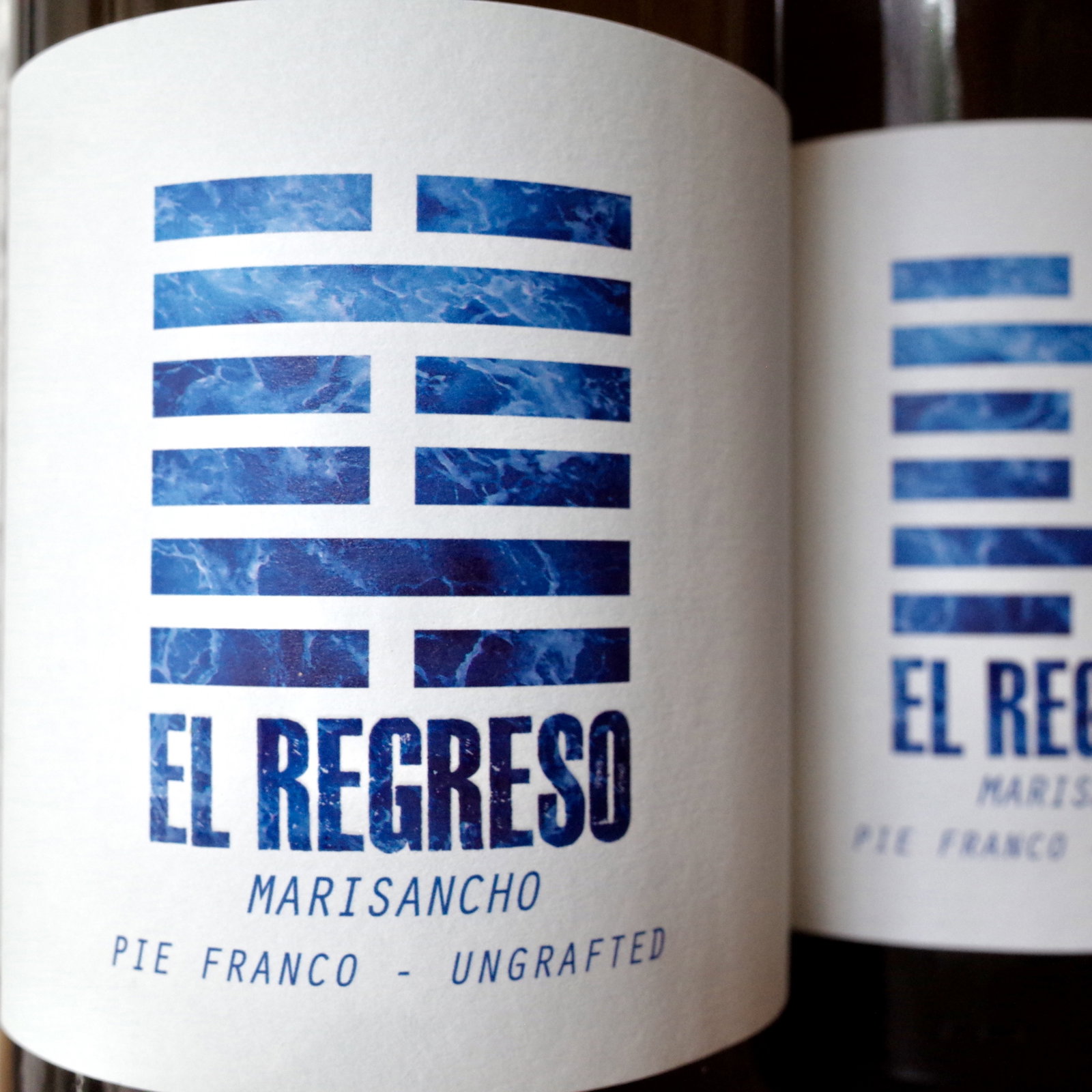 <b>El Regreso, Julian Ruiz</b>|marisancho|wit