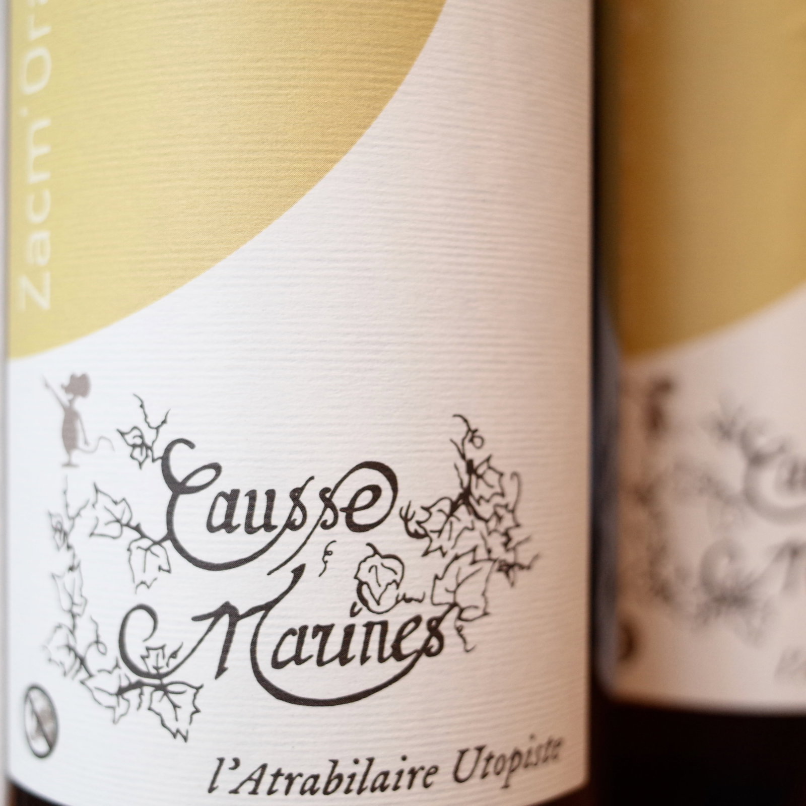 <b>Causse Marines, Patrice Lescarret</b>|zacmau d'orange 'oronte'|oranje