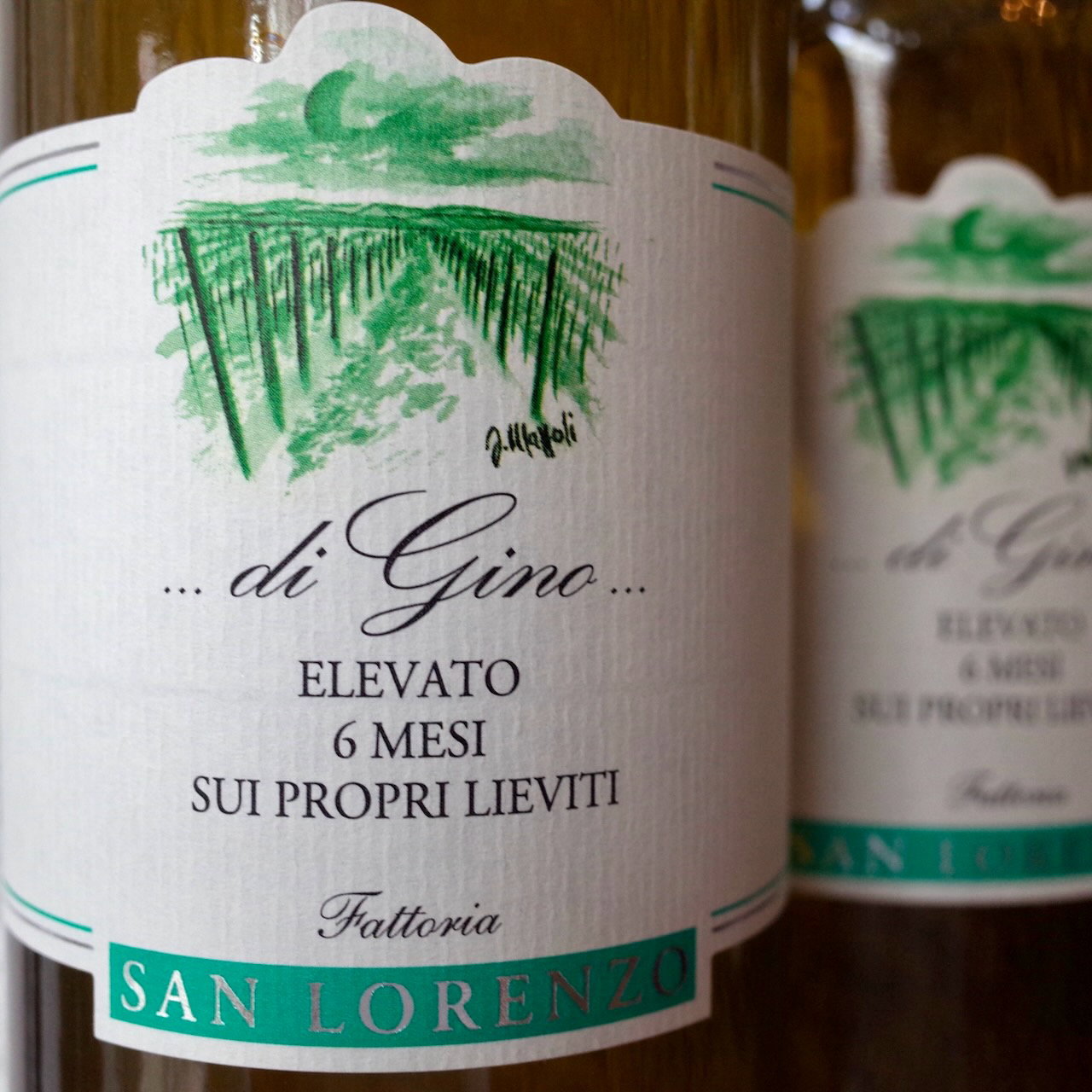 <b>Fattoria San Lorenzo, Natalino Grognaletti</b>|bianco di gino mgn|wit