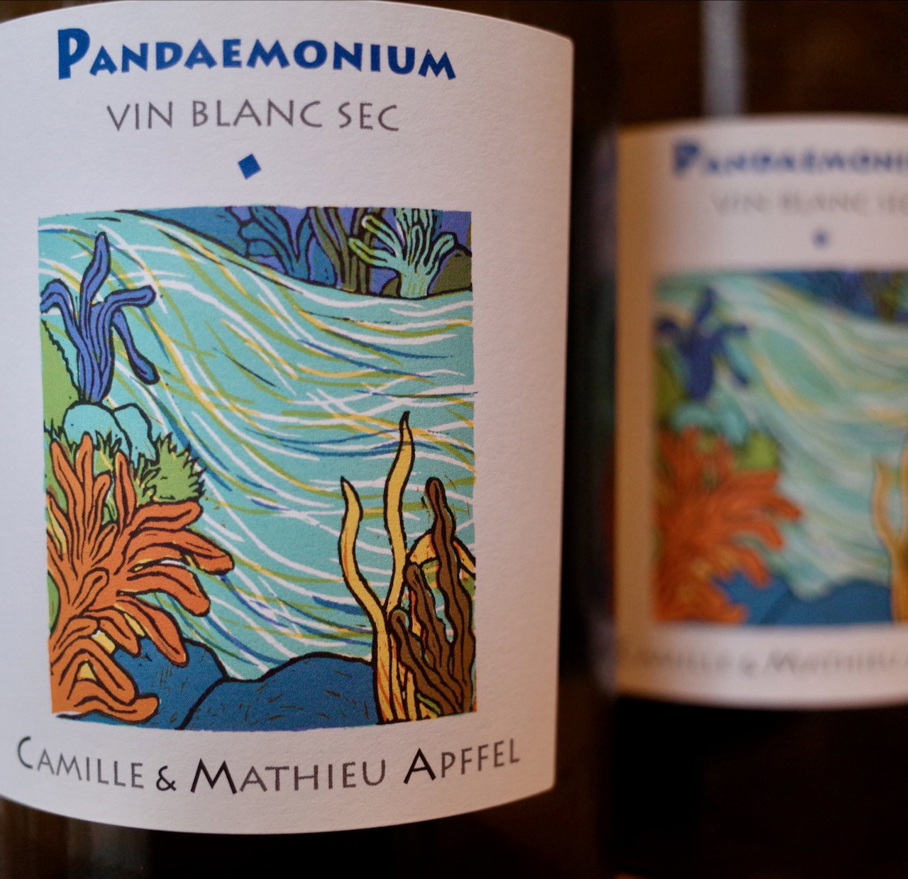 <b>Mathieu et Camille Apffel</b>|pandaemonium|wit