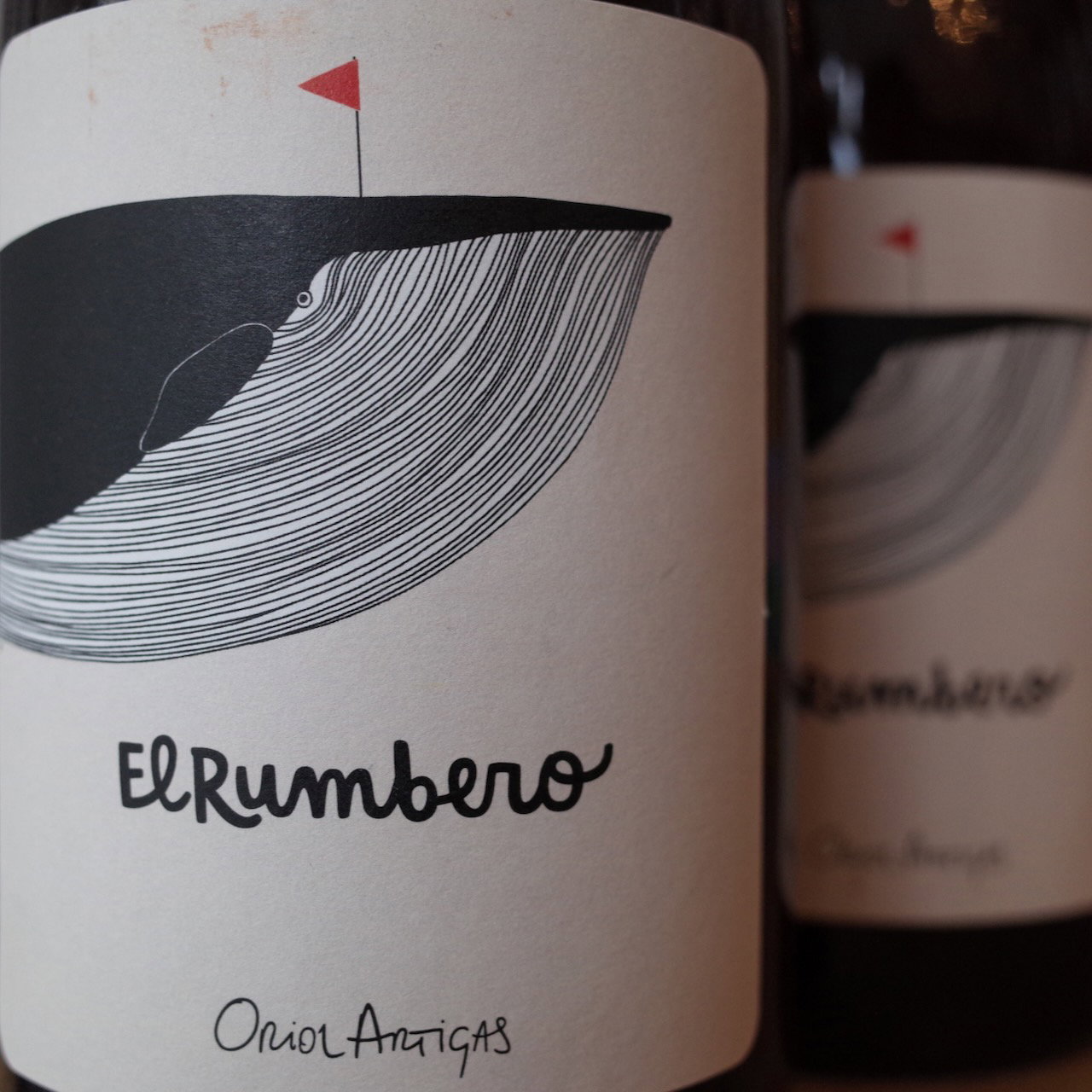 <b>Oriol Artigas</b>|el rumbero|rood