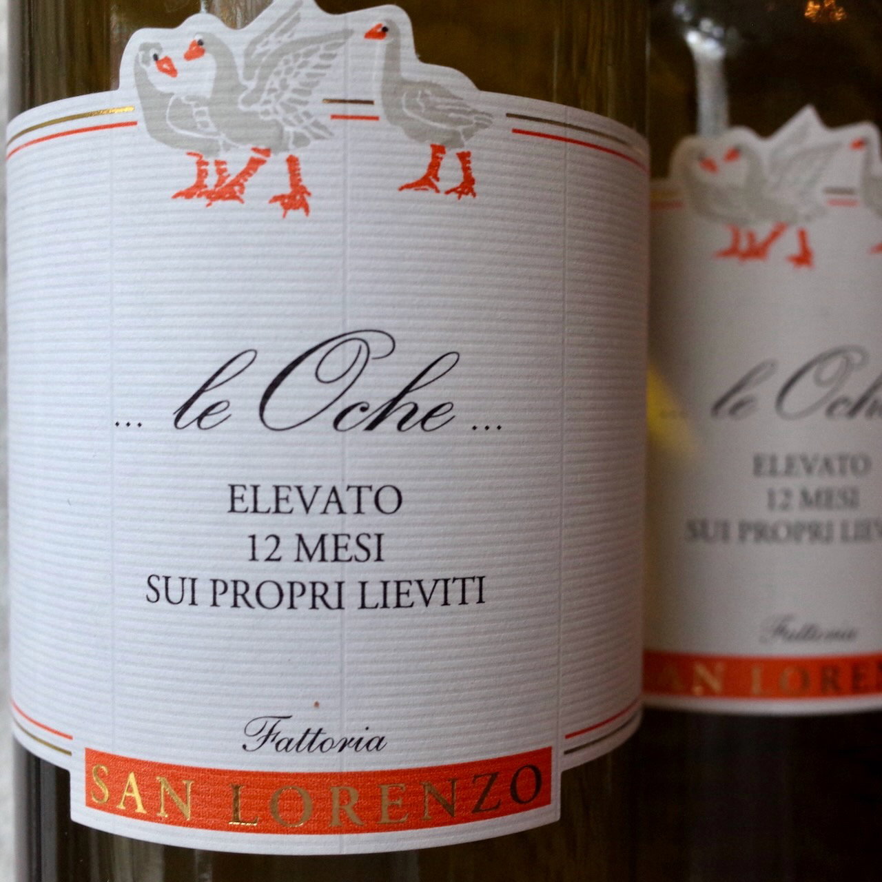<b>Fattoria San Lorenzo, Natalino Grognaletti</b>|le oche magnum|wit